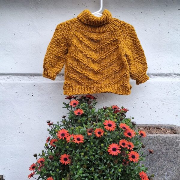 Patrón Sweater Arropo - Imagen 2